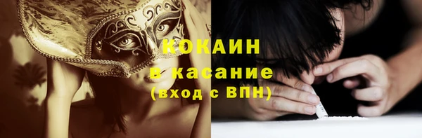 хмурый Алексин