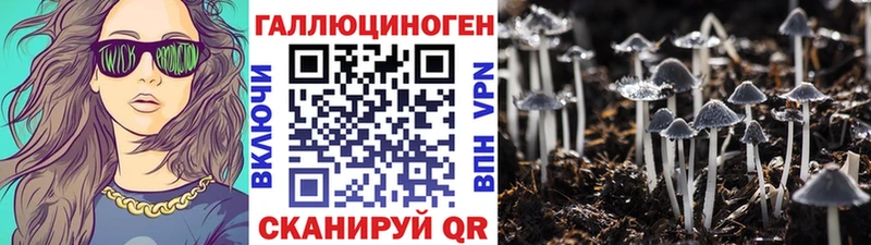 Псилоцибиновые грибы Cubensis  где купить наркоту  мега зеркало  Фёдоровский 